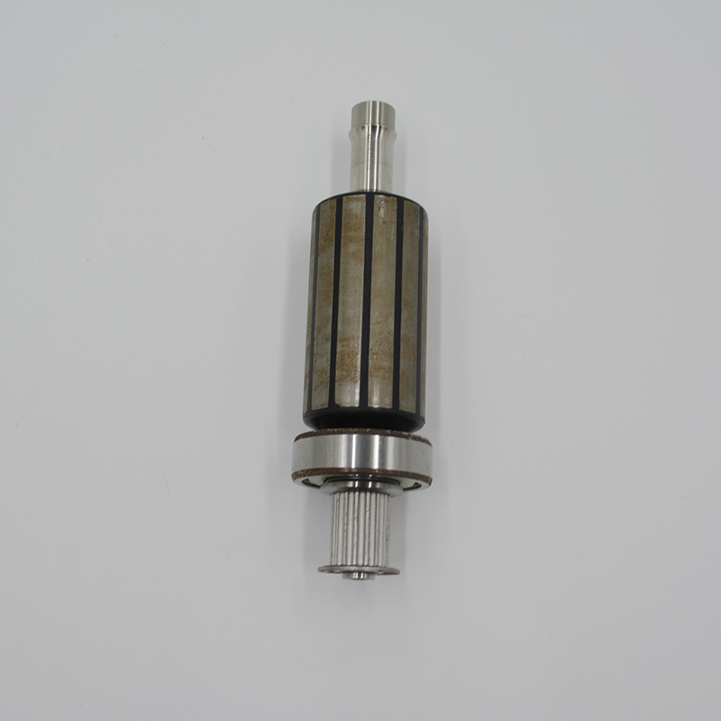 Magnetic Motor Rotor Assembly Neodymium Permanent Rotor Pump Parts Neodymium Magnet