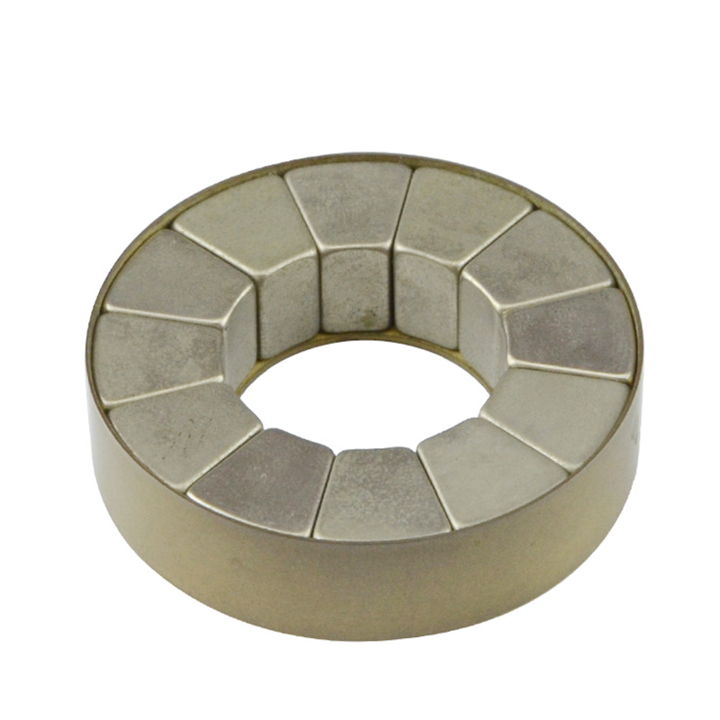 Customized Size Halbach Array Motor Neodymium Magnet Ndfeb Arc Magnet Assembly for Free Energy